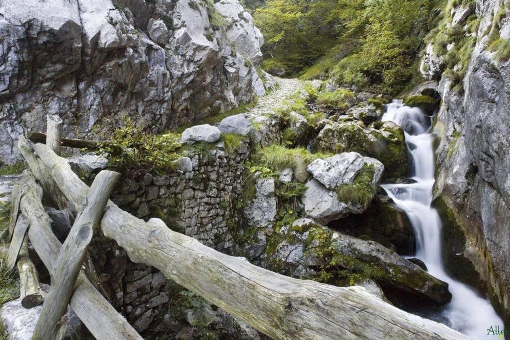 Los Molinos - Atico En Montana De Asturias Фелекоса Екстер'єр фото