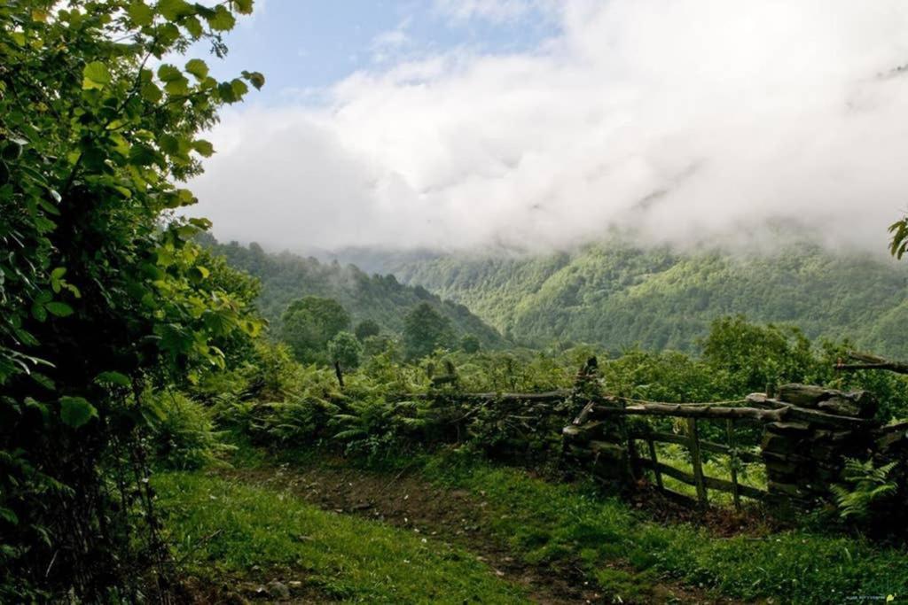 Los Molinos - Atico En Montana De Asturias Фелекоса Екстер'єр фото