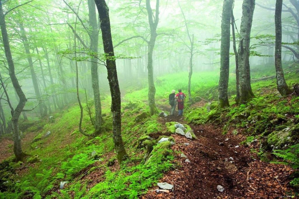 Los Molinos - Atico En Montana De Asturias Фелекоса Екстер'єр фото