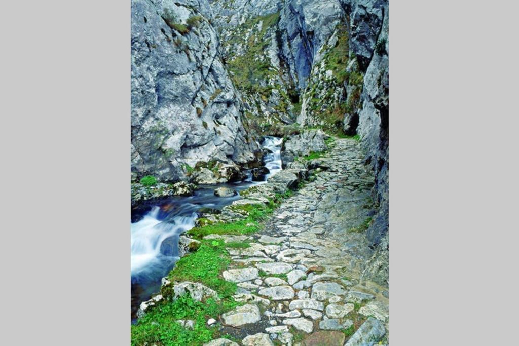 Los Molinos - Atico En Montana De Asturias Фелекоса Екстер'єр фото