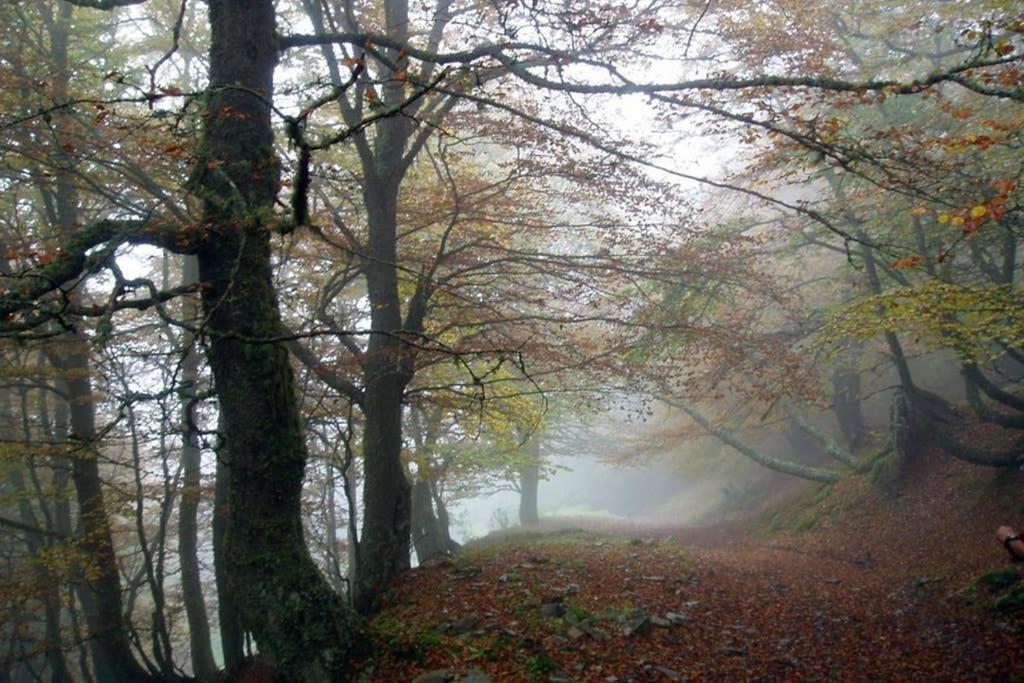 Los Molinos - Atico En Montana De Asturias Фелекоса Екстер'єр фото